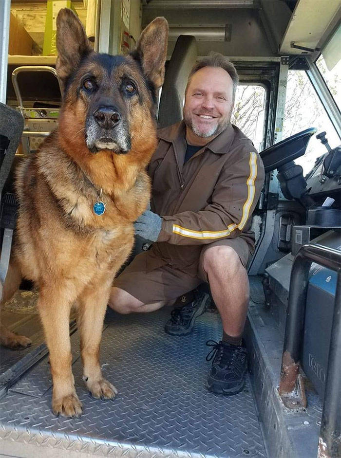 UPS Drivers Have A Special Facebook Page Where They Post Dogs They Meet While At Work