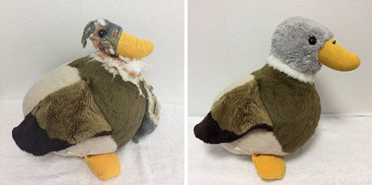 There Is A Hospital In Japan That Only Admits “Sick” Plush Toys