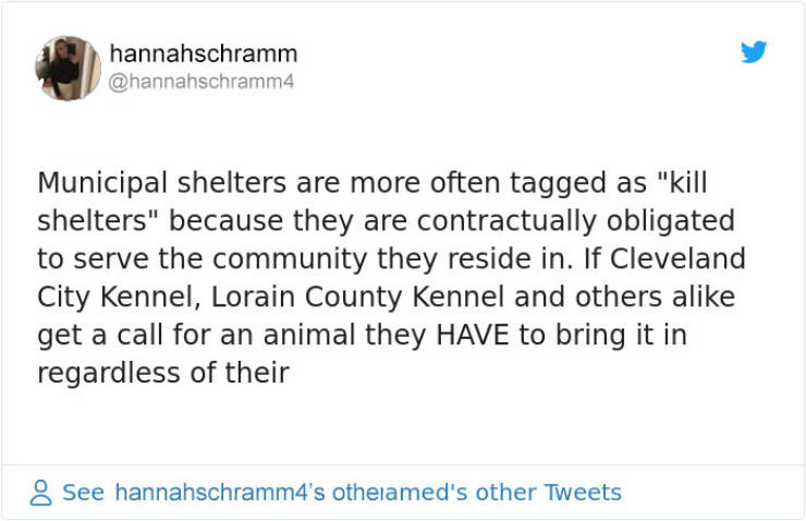Here’s The Difference Between “Kill” And “No-Kill” Shelters