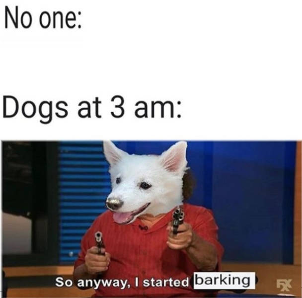 Dogs Will Appreciate These Memes