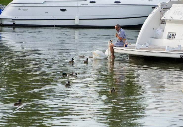 Fine Examples When A Picture Says More Than Just A Thousand Words