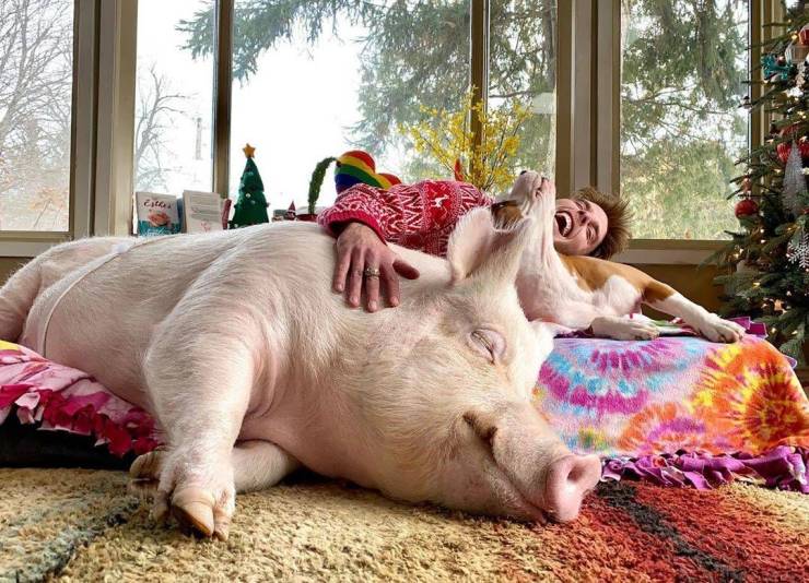 Fine Examples When A Picture Says More Than Just A Thousand Words