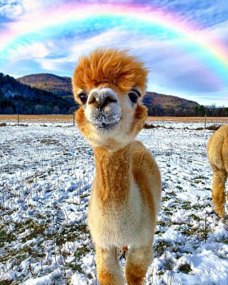 Fine Examples When A Picture Says More Than Just A Thousand Words