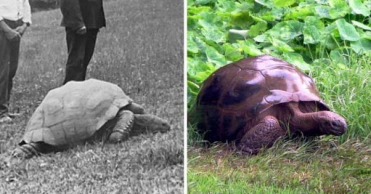 Past And Present In Family Photos