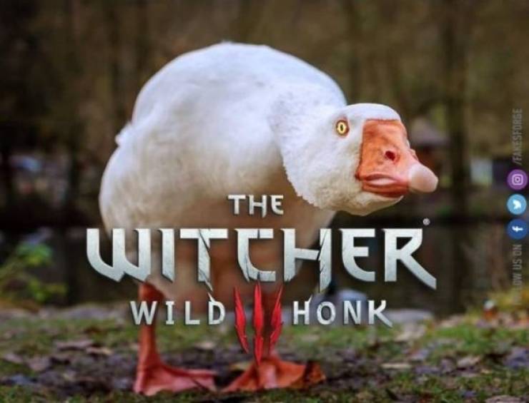 Prepare To Binge Watch These “The Witcher” Memes