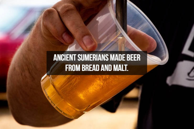 Looks Like Beer Facts Are Brewing…