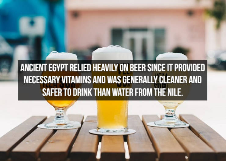 Looks Like Beer Facts Are Brewing…