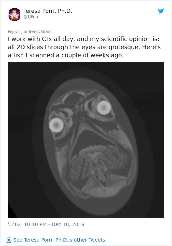 Pug’s MRI Scan Is Not Very Adorable. To Say The Least. (19 pics ...