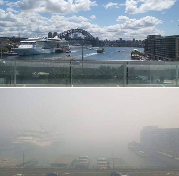 This Is How Brutal The Australian Bushfires Have Been Thus Far