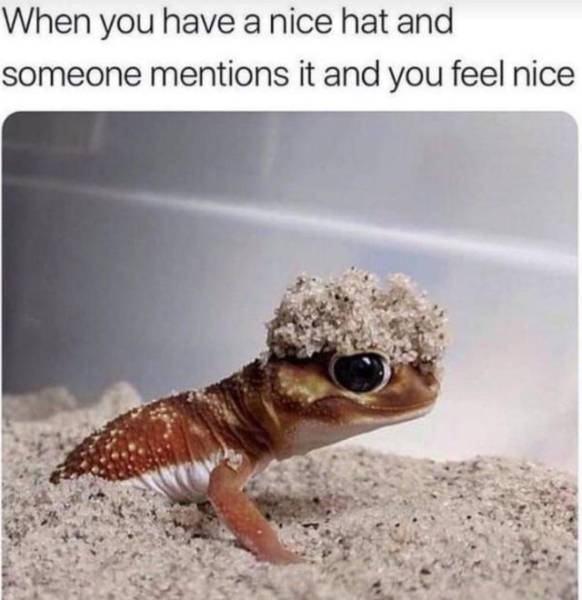 Wholesomeness Is Coming For You!