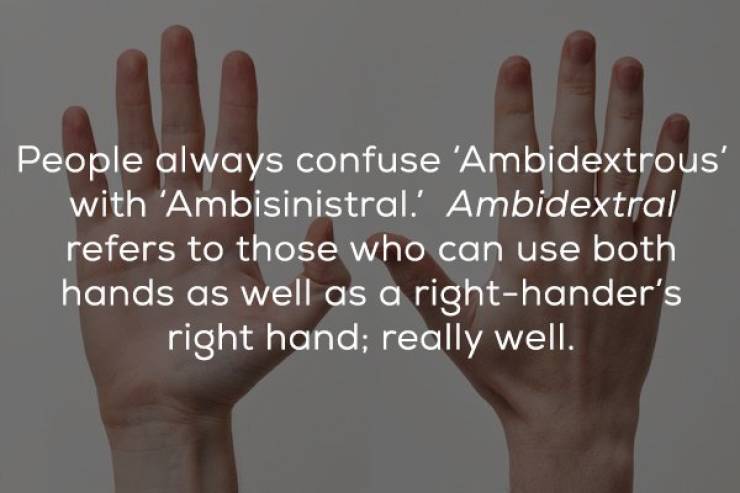 These Ambidextrous Facts Can Use Both Hands!