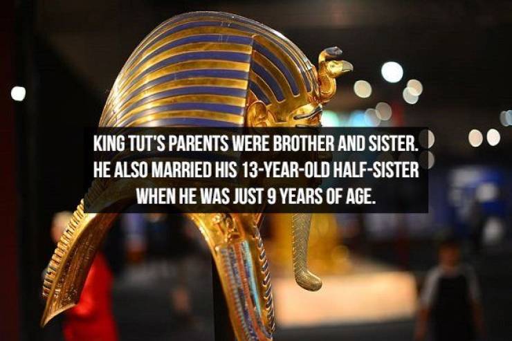 Mummified Facts About King Tut