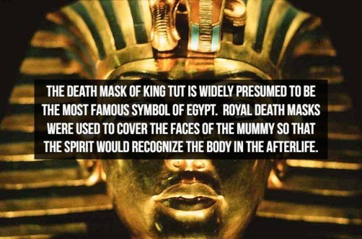 Mummified Facts About King Tut