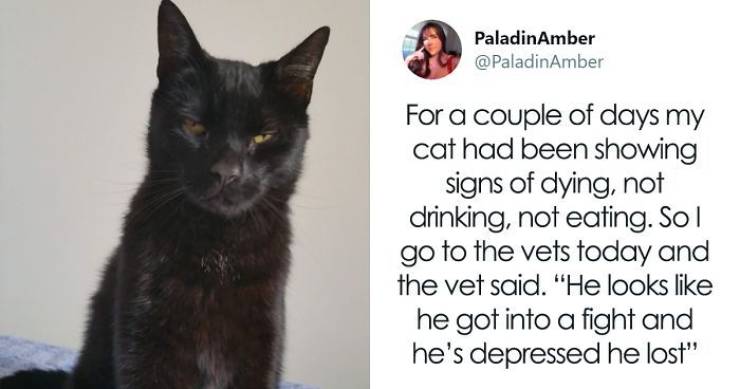 Owners Really Thought Their Pets Were Dying…