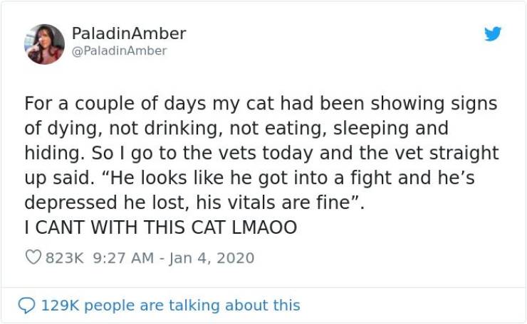 Owners Really Thought Their Pets Were Dying…