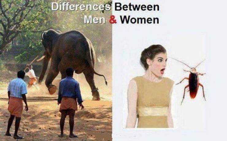 Men And Women Are SO Different!