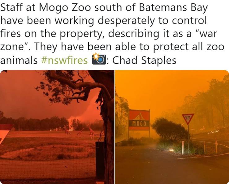 The Good Side Of Australian Bushfire Crisis