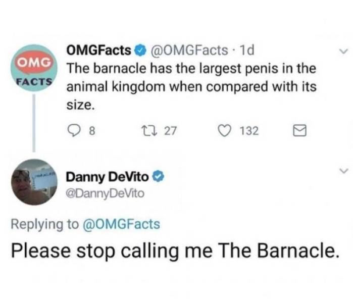 Danny DeVito Is The Father Of Memes