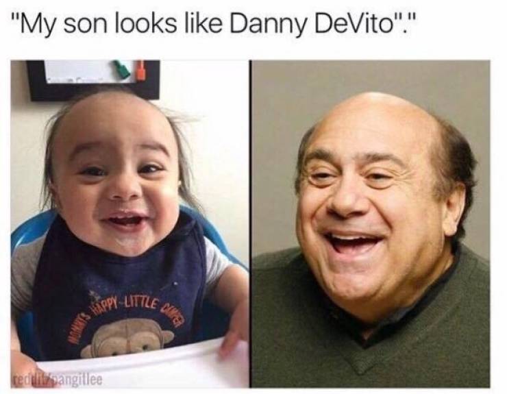 Danny DeVito Is The Father Of Memes