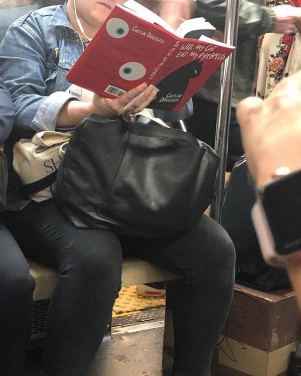 People Are Reading Some Interesting Stuff…