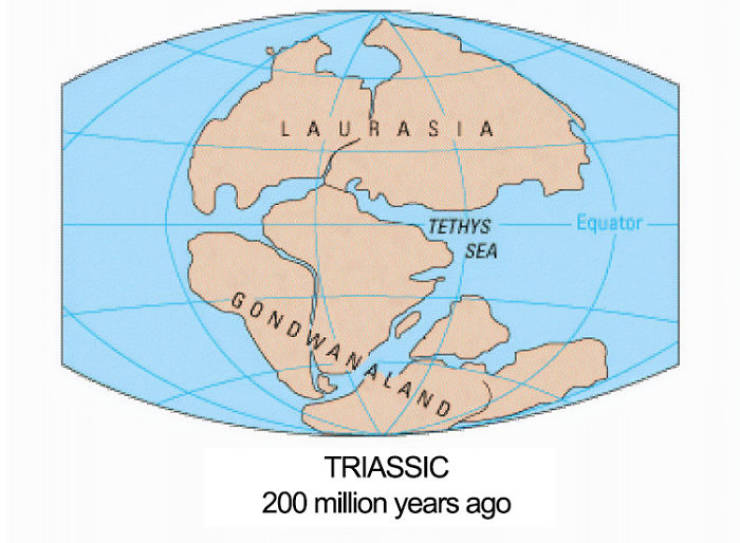This Map Explains Our World Geography 300 Million Years Ago