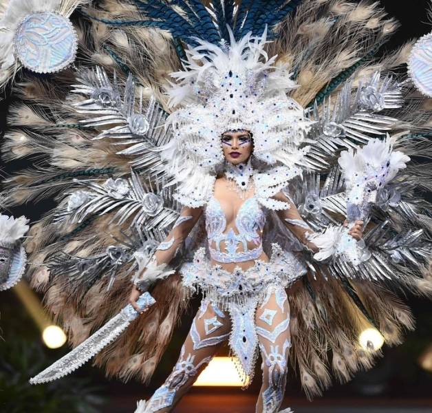 Miss Universe Contests Have Some Impressive Outfits!
