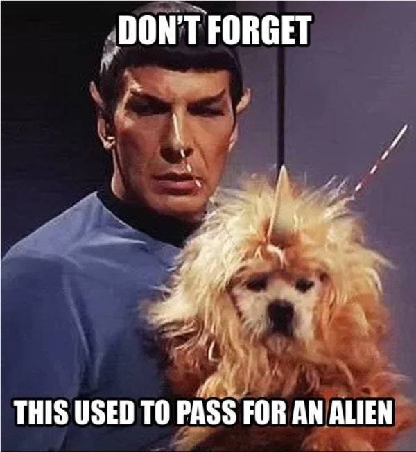 “Star Trek” Fans, Unite For The Memes!