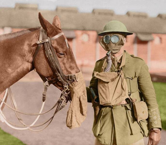 Colorized World War I Photos Are Hard To Look At