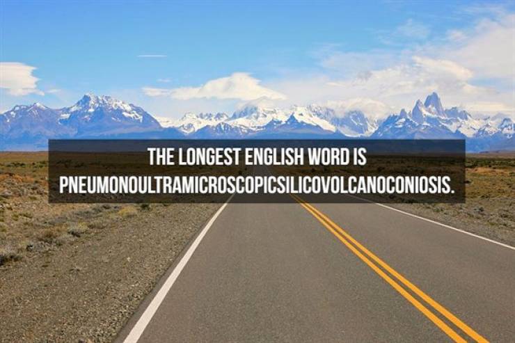 Fun Facts About the English Language
