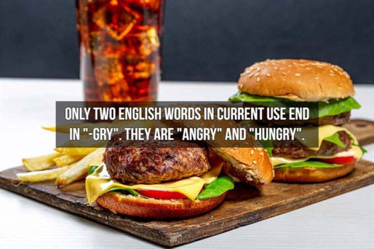 Fun Facts About the English Language