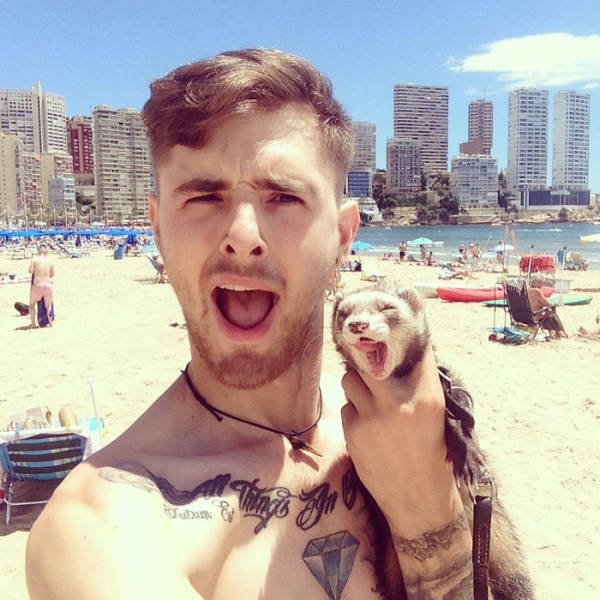 Guy Loses Three Of His Close Ones, Sells Everything And Goes On An Adventure With His Pet Ferret