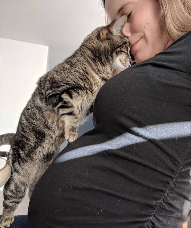 Pets Love Pregnant Two-Legs!