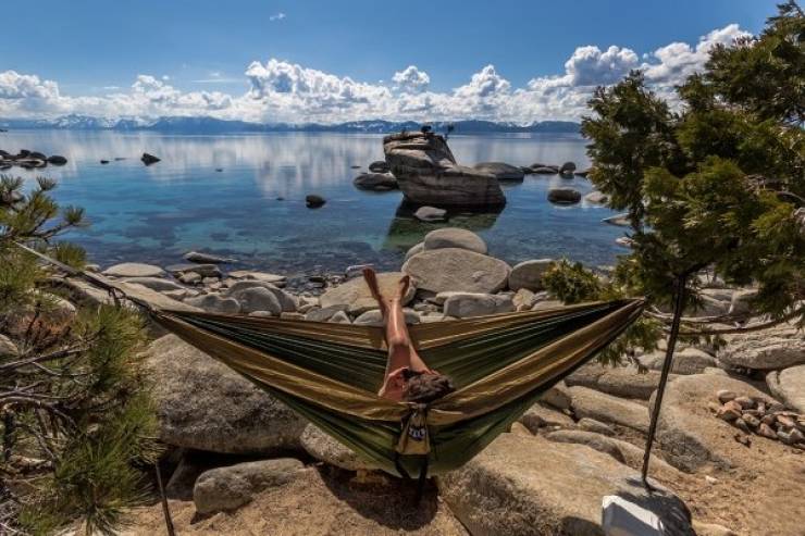 Hammocks Are Everywhere! EVERYWHERE!