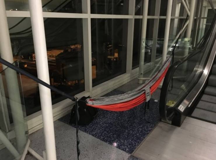 Hammocks Are Everywhere! EVERYWHERE!