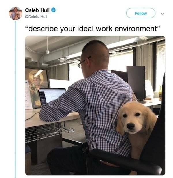 Work Can Come Back To Bite You