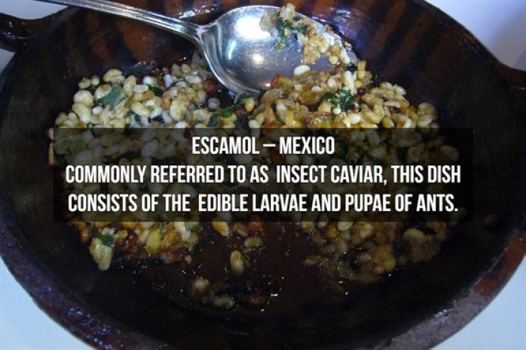 These Foods Aren’t Just Exotic, They’re Plain Weird!