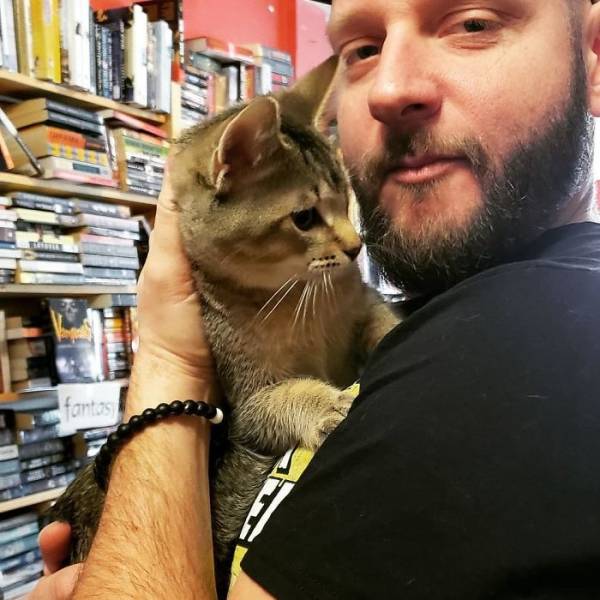 This Canadian Bookstore Is Owned By Kittens!