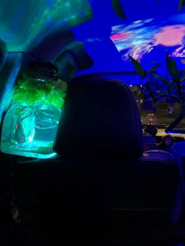 Uber Drives Have To Be Special Like These Ones!