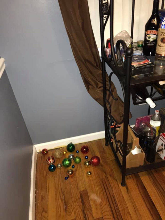 Guy’s House Turns Into “Home Alone” Movie For Christmas