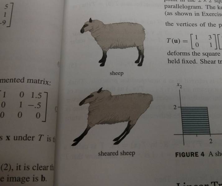 These Textbook Illustrations Could’ve Been Better…