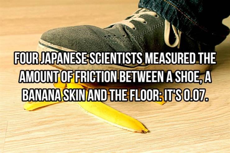 Science Facts Are Even More Interesting!