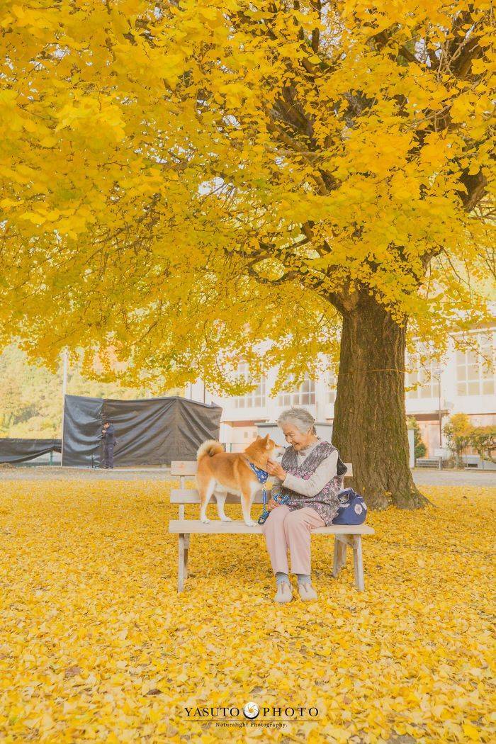 Grandmother Loves Her Shiba Inu. Shiba Inu Loves Her Grandmother. Grandmother Loves Her Shiba Inu. Shiba Inu Loves Her Grandmother.