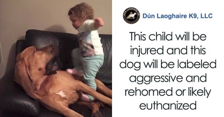 Why People Shouldn’t Allow Kids To Mistreat Pets