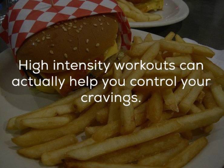 Workout Facts Are Brain Workout
