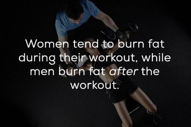 Workout Facts Are Brain Workout