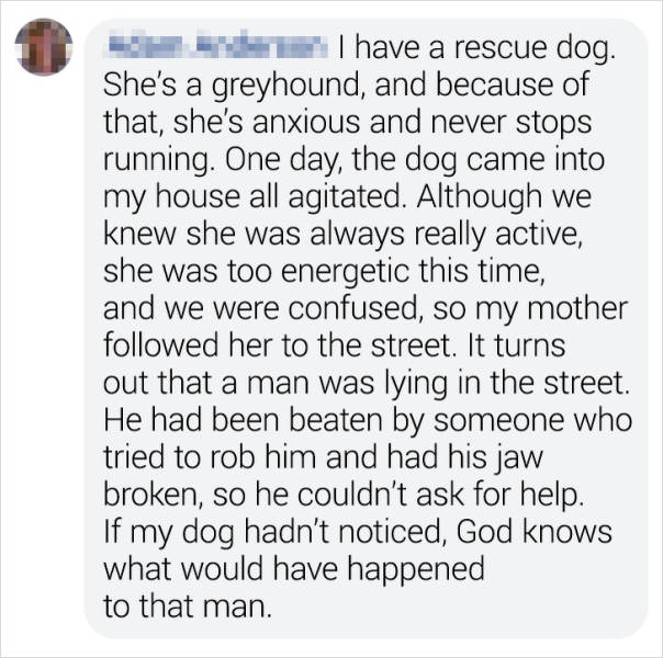 When Pets Become Heroes