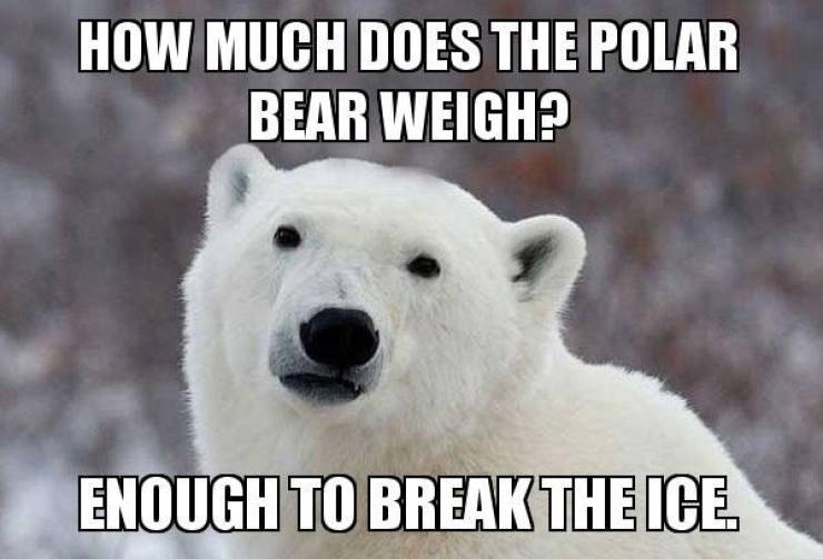 Yeah, Polar Bears Are Actually Funny!