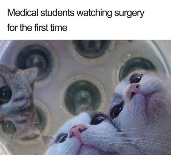 Cure Yourself With These Doctor Memes