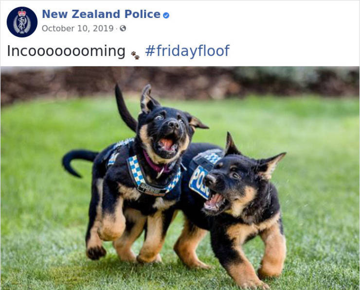 New Zealand Police Is The Best At Internet!