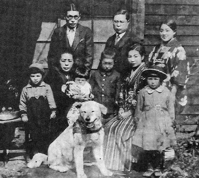 Here Are Some Photos Of Hachiko, Together With His Story
